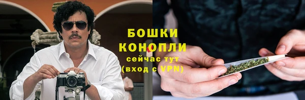 дмт Горняк