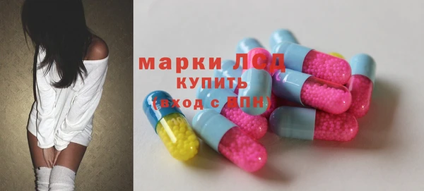 индика Верея