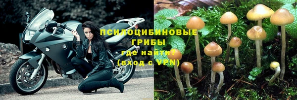 дмт Горняк