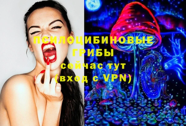 mdpv Горнозаводск